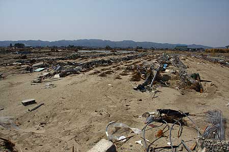 津波で倒壊したいちご栽培のビニールハウス