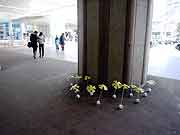シンサイミライノハナPROJECT2011(神戸市中央区・JR三ノ宮駅 2011年1月16日)