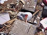 津波で被災した海蔵禅寺の墓地の様子(宮城県亘理町 2011年4月14日)