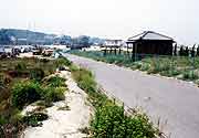 野島断層(淡路島 北淡町・野島地区) 1996年5月