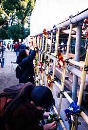 つづら折りの宴(神戸市長田区・長田神社 1996年1月21日)