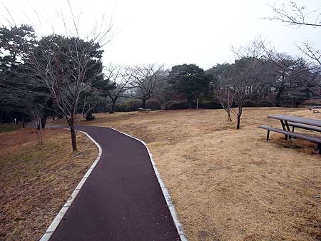 門小児童・教職員が最初に避難をした日和山公園 (宮城県石巻市 2012年2月)