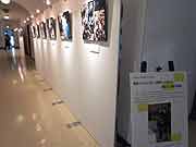 皇室とともに歩んだ復興への道のり・震災15周年写真展(神戸市中央区・兵庫県公館県政資料館 2010年1月18日)